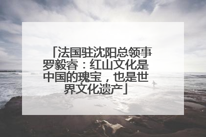 法国驻沈阳总领事罗毅睿：红山文化是中国的瑰宝，也是世界文化遗产