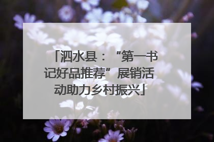 泗水县：“第一书记好品推荐”展销活动助力乡村振兴