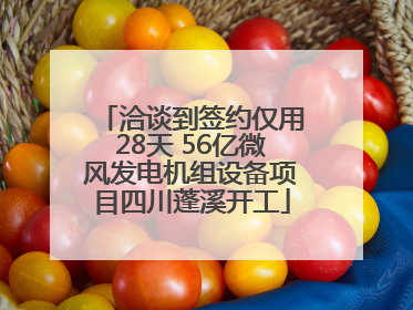 洽谈到签约仅用28天 56亿微风发电机组设备项目四川蓬溪开工