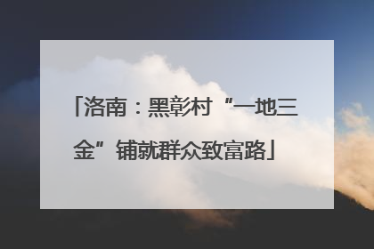 洛南：黑彰村“一地三金”铺就群众致富路