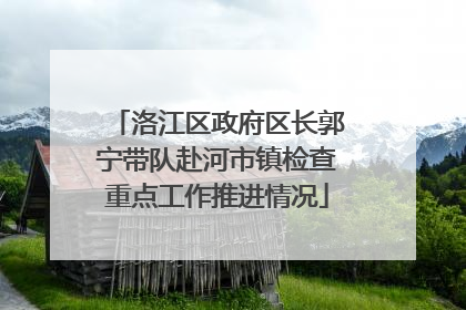 洛江区政府区长郭宁带队赴河市镇检查重点工作推进情况