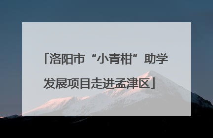 洛阳市“小青柑”助学发展项目走进孟津区