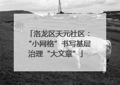 洛龙区天元社区：“小网格”书写基层治理“大文章”