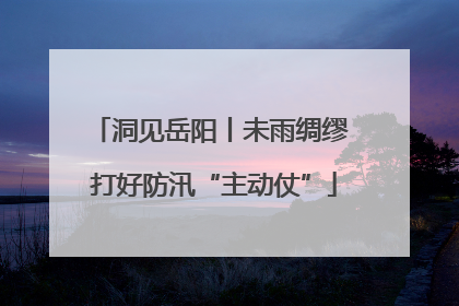 洞见岳阳丨未雨绸缪 打好防汛“主动仗”