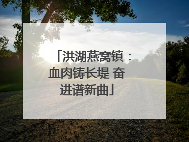 洪湖燕窝镇：血肉铸长堤 奋进谱新曲