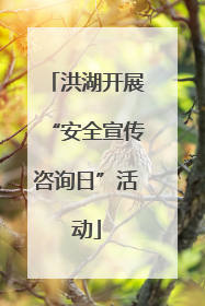 洪湖开展“安全宣传咨询日”活动