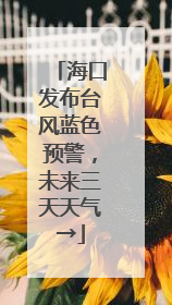 海口发布台风蓝色预警，未来三天天气→