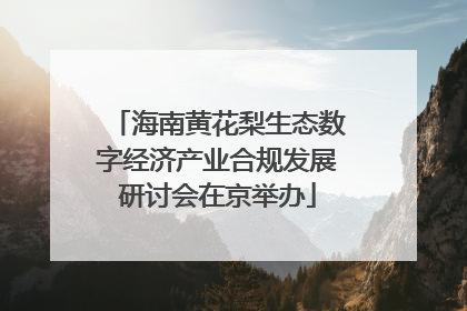 海南黄花梨生态数字经济产业合规发展研讨会在京举办