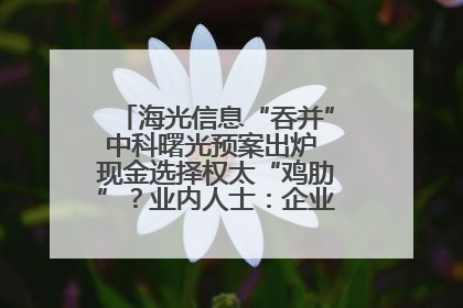 海光信息“吞并”中科曙光预案出炉 现金选择权太“鸡肋”？业内人士：企业不想大量现金流出