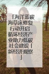 海洋蓝碳海草床修复行动开启 循环经济产业助力低碳社会建设丨新经济观察