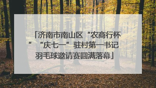 济南市南山区“农商行杯”“庆七一”驻村第一书记 羽毛球邀请赛圆满落幕