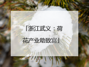 浙江武义：荷花产业助致富
