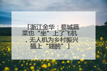 浙江金华：婺城蔬菜也“坐”上了飞机，无人机为乡村振兴插上“翅膀”