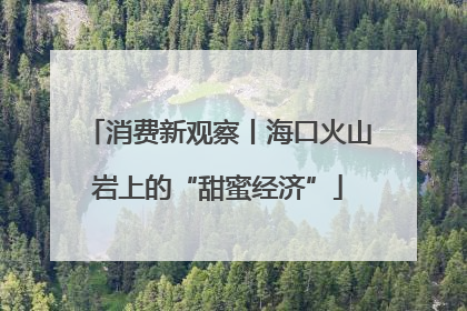 消费新观察丨海口火山岩上的“甜蜜经济”