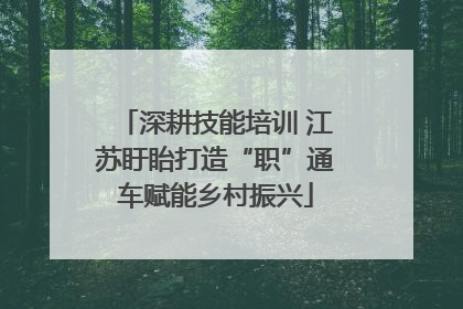深耕技能培训 江苏盱眙打造“职”通车赋能乡村振兴