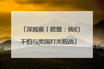 深观察丨欧盟：我们不怕与美国打关税战