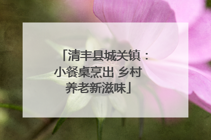 清丰县城关镇：小餐桌烹出 乡村养老新滋味