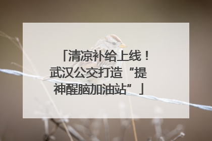 清凉补给上线！武汉公交打造“提神醒脑加油站”
