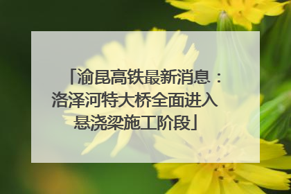 渝昆高铁最新消息：洛泽河特大桥全面进入悬浇梁施工阶段
