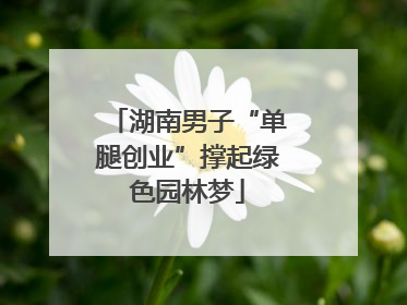 湖南男子“单腿创业”撑起绿色园林梦