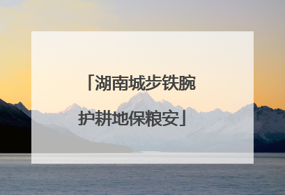 湖南城步铁腕护耕地保粮安
