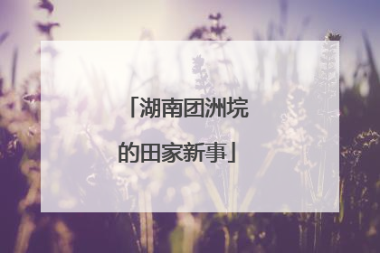 湖南团洲垸的田家新事