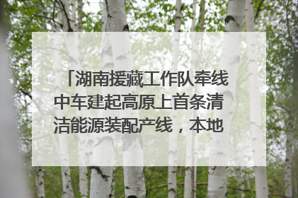 湖南援藏工作队牵线中车建起高原上首条清洁能源装配产线，本地大学生成车间检验员