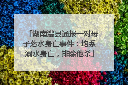 湖南澧县通报一对母子落水身亡事件：均系溺水身亡，排除他杀