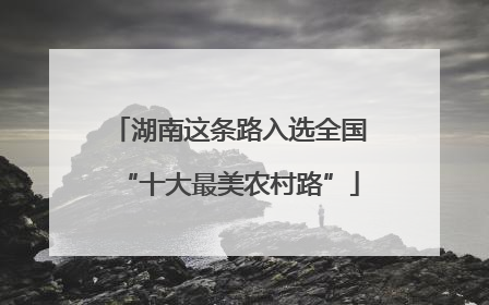 湖南这条路入选全国“十大最美农村路”