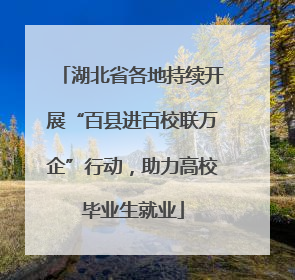 湖北省各地持续开展“百县进百校联万企”行动，助力高校毕业生就业