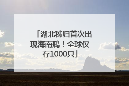 湖北秭归首次出现海南鳽！全球仅存1000只