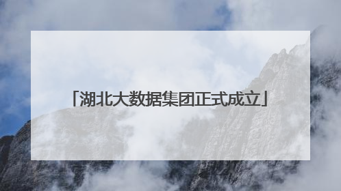 湖北大数据集团正式成立
