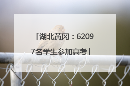湖北黄冈：62097名学生参加高考
