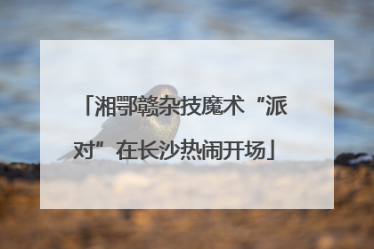 湘鄂赣杂技魔术“派对”在长沙热闹开场