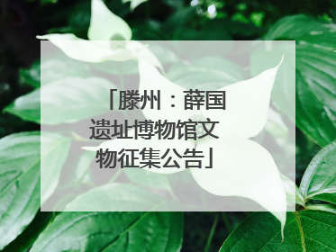 滕州：薛国遗址博物馆文物征集公告