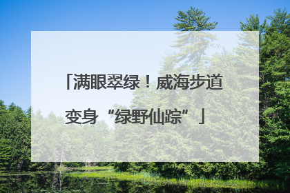 满眼翠绿！威海步道变身“绿野仙踪”