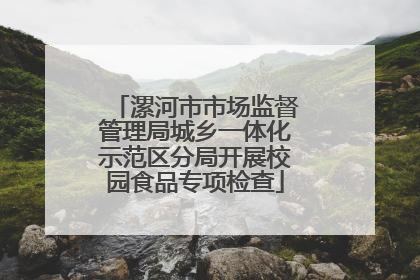 漯河市市场监督管理局城乡一体化示范区分局开展校园食品专项检查