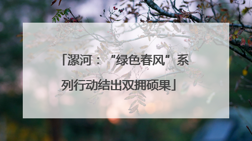 漯河：“绿色春风”系列行动结出双拥硕果