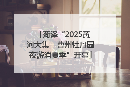 菏泽“2025黄河大集—曹州牡丹园夜游消夏季”开幕