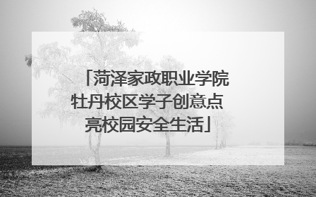 菏泽家政职业学院牡丹校区学子创意点亮校园安全生活