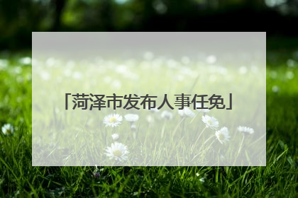 菏泽市发布人事任免