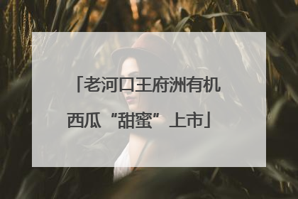 老河口王府洲有机西瓜“甜蜜”上市