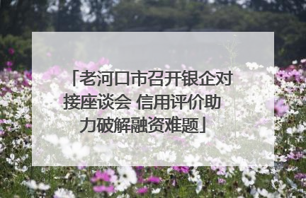 老河口市召开银企对接座谈会 信用评价助力破解融资难题
