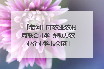 老河口市农业农村局联合市科协助力农业企业科技创新
