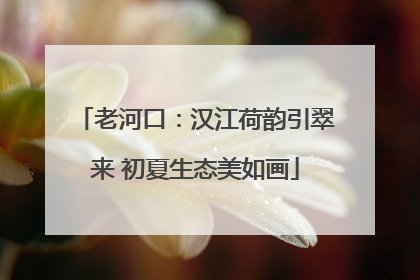 老河口：汉江荷韵引翠来 初夏生态美如画