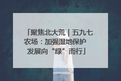 聚焦北大荒｜五九七农场：加强湿地保护 发展向“绿”而行