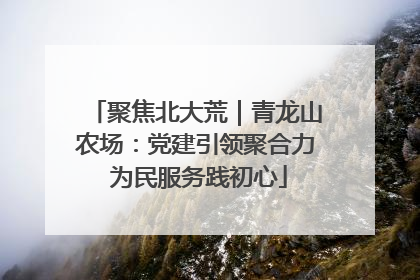 聚焦北大荒｜青龙山农场：党建引领聚合力 为民服务践初心
