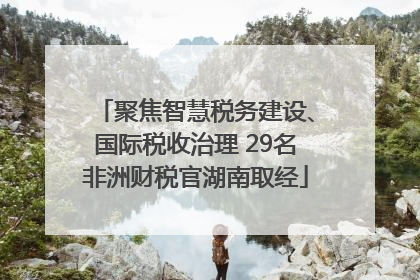 聚焦智慧税务建设、国际税收治理 29名非洲财税官湖南取经