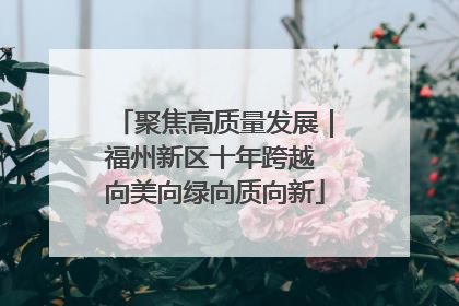 聚焦高质量发展｜福州新区十年跨越 向美向绿向质向新