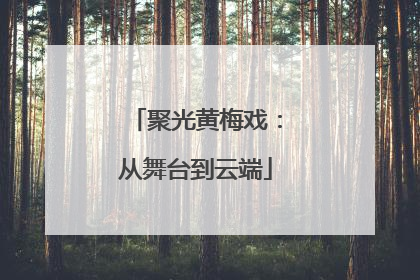 聚光黄梅戏：从舞台到云端